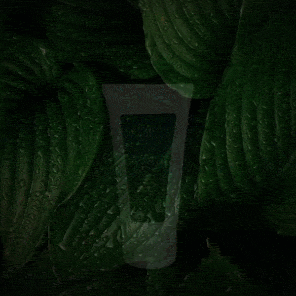 Crema Equilibradora Fresca - MiCleo&Co